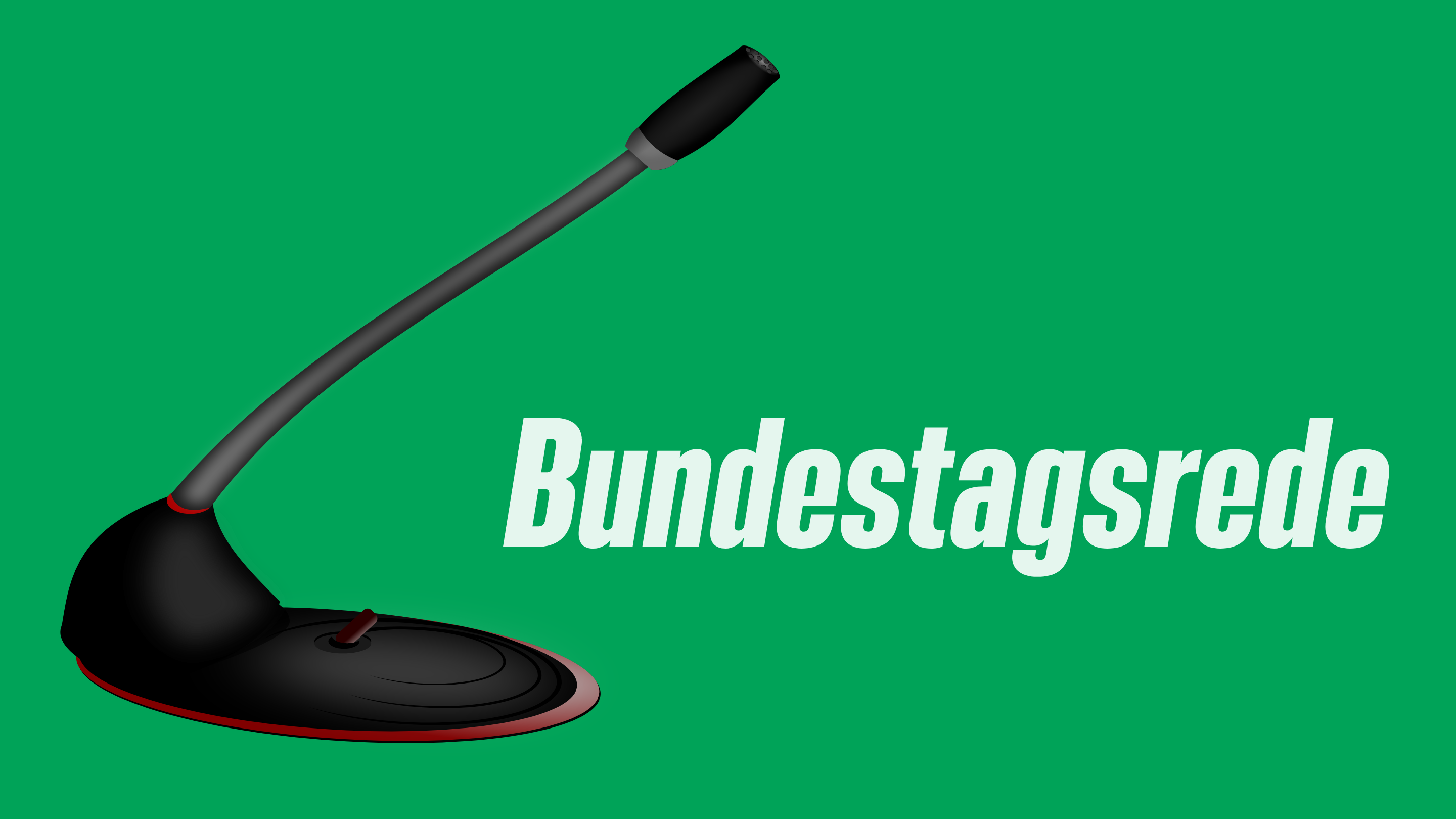 Bundestagsrede Nina Stahr